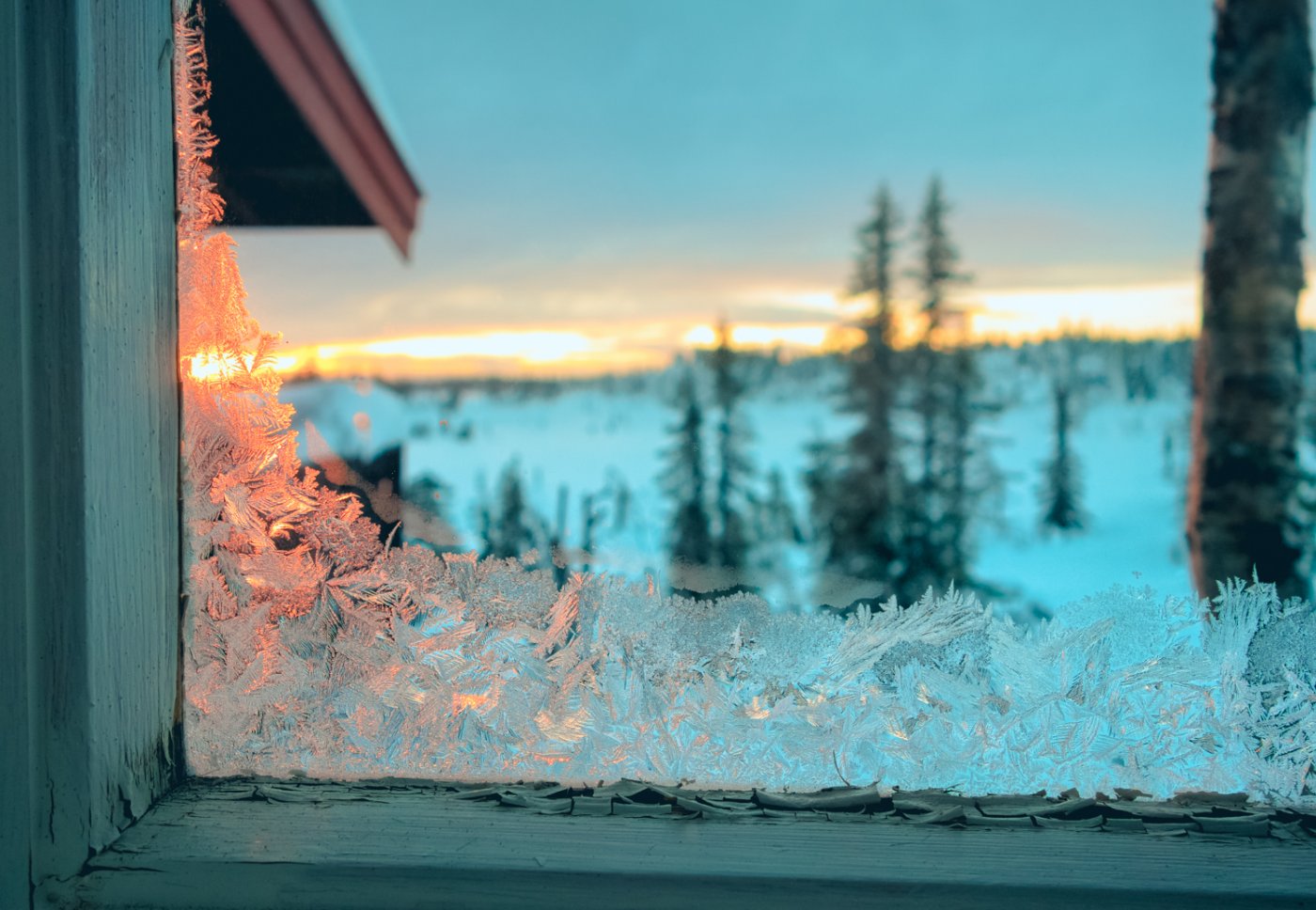 Ser gjennom et vindu med rim i kantene. På utsiden er det er det en vinterskog i solnedgang.